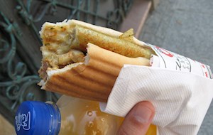 Bosna