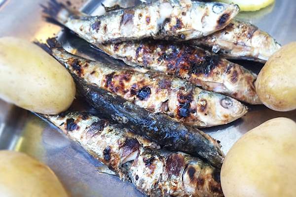 Sardinhas Assadas | Traditional Saltwater Fish Dish From Portugal