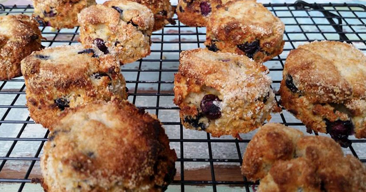 Scone In Avoca TasteAtlas authentic restaurants