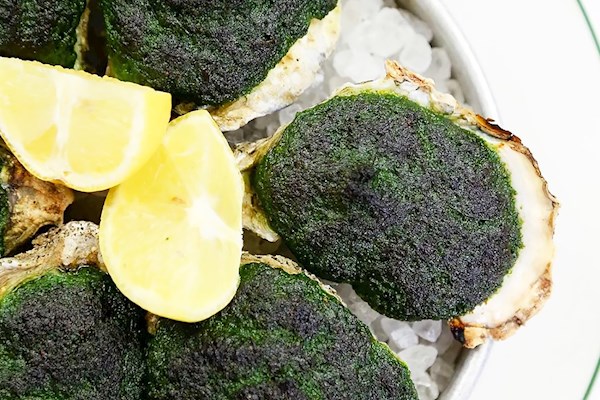 Where to Eat the Best Oysters Rockefeller in the World ...