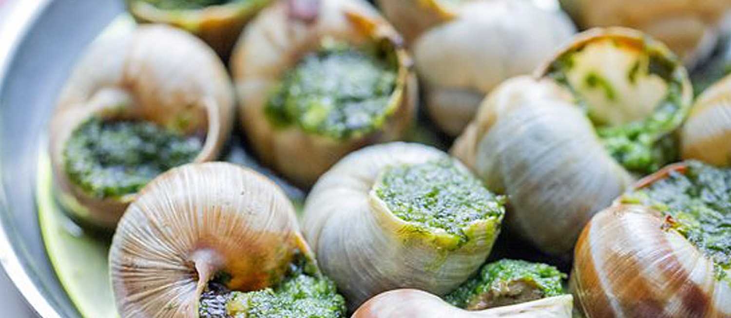 Escargot | Traditional Snail Dish From France