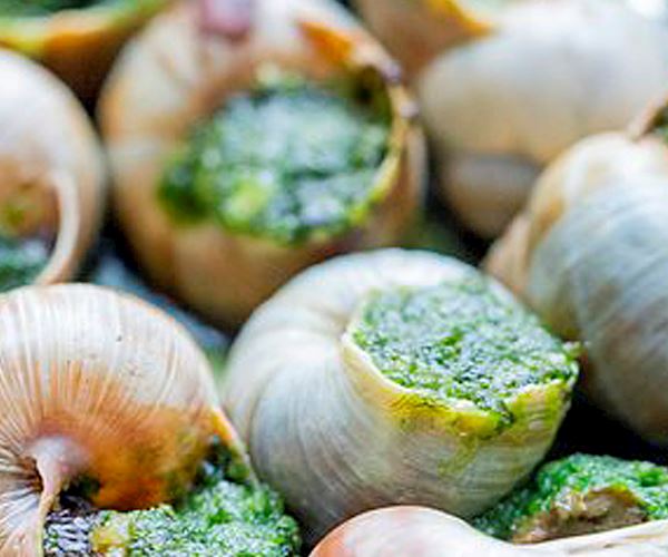 10 Most Popular European Snail Dishes - TasteAtlas