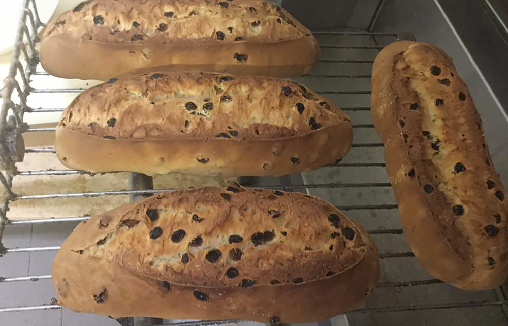 Buccellato di Lucca Traditional Sweet Bread From Lucca, Italy