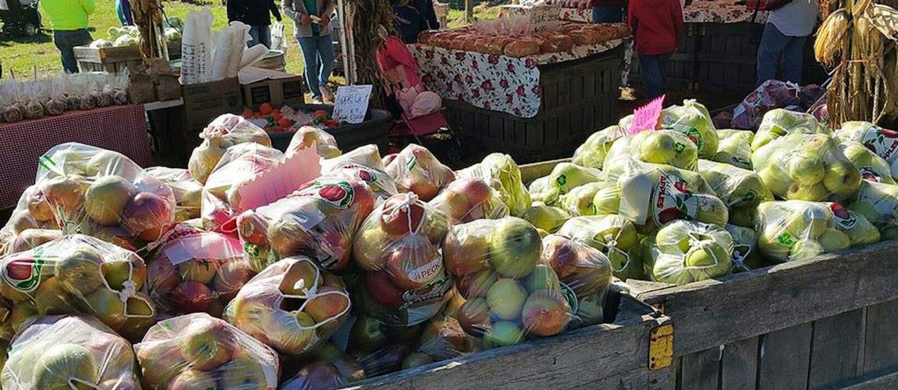 Apple Festival Fruit festival in Ellijay Where? What? When?
