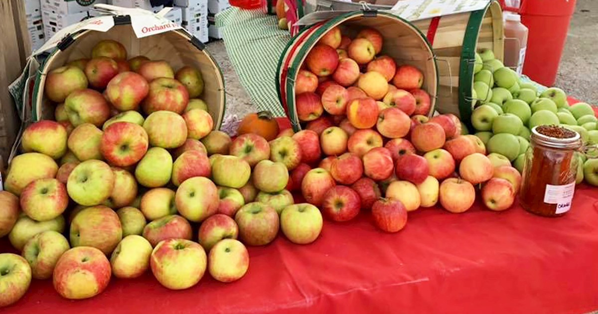Long Grove Apple Fest Fruit festival in Long Grove Where? What? When?