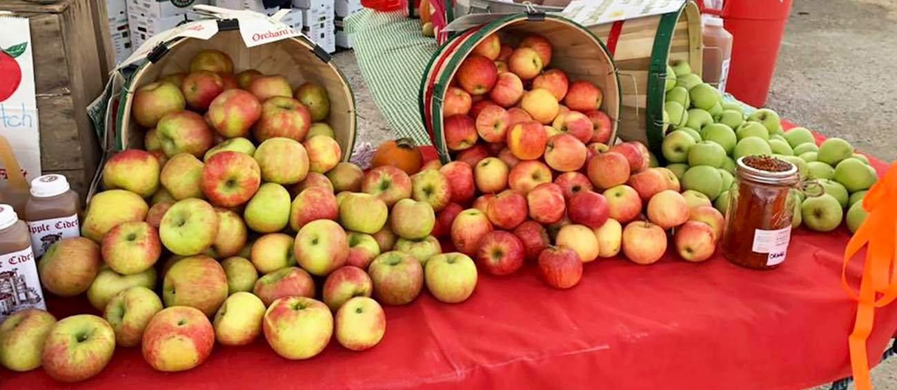 Long Grove Apple Fest Fruit festival in Long Grove Where? What? When?