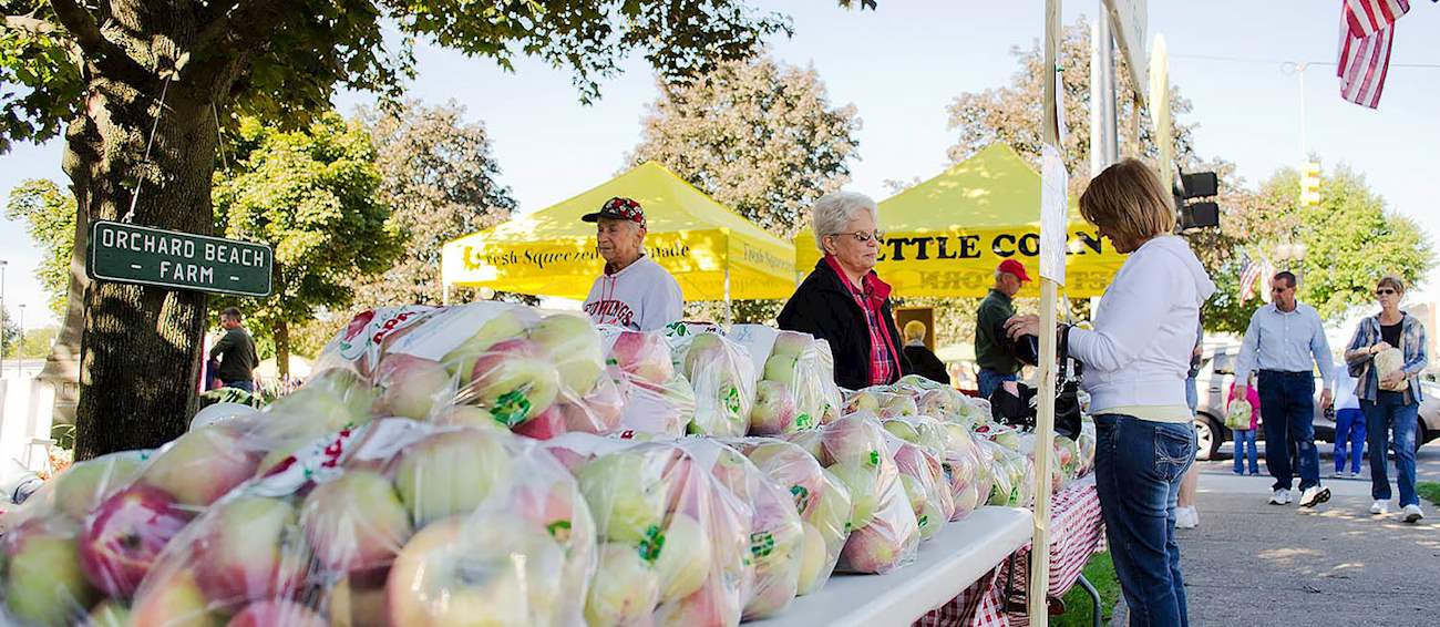 Coldwater Applefest & Craft Show Fruit festival in Coldwater Where