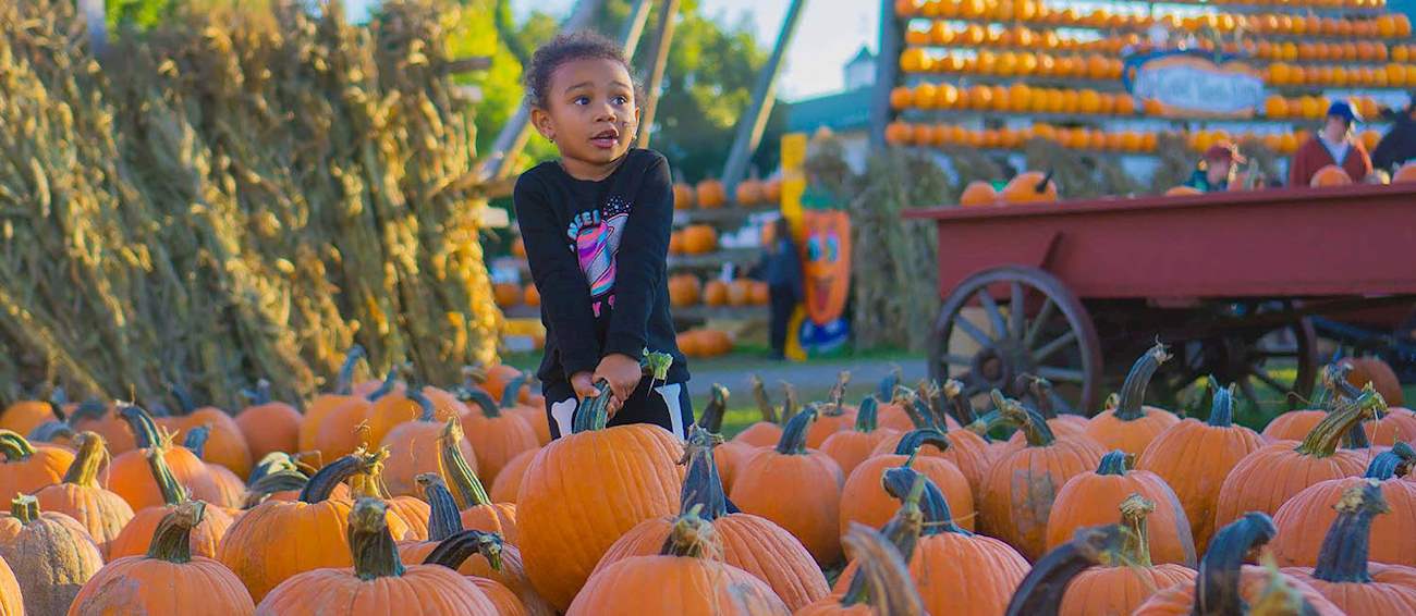 The Great Pumpkin Farm Festival Fruit festival in Clarence Where