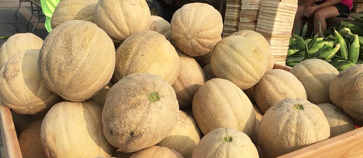 Howell Melon Festival Fruit festival in Howell Where? What? When?