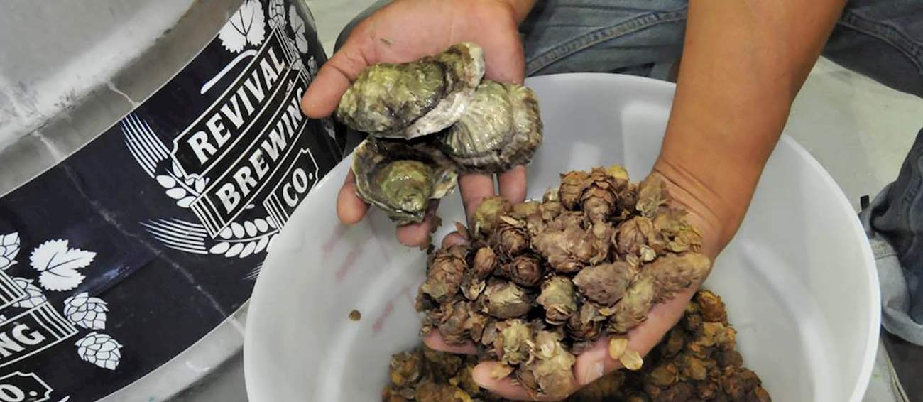 The Ocean State Oyster Festival Seafood festival in Providence