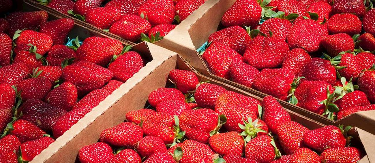 South Carolina Strawberry Festival Fruit festival in Fort Mill