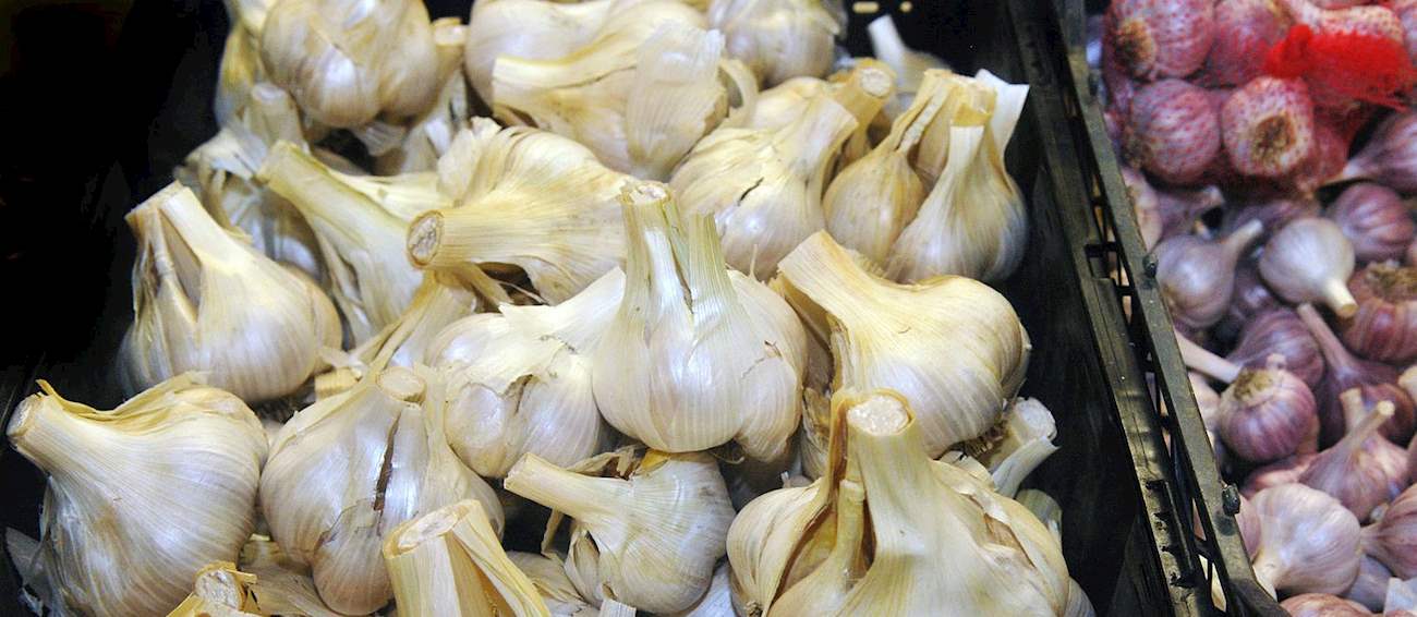 Chehalis Garlic Fest & Craft Show Vegetable festival in Chehalis