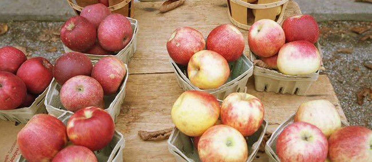 North Carolina Apple Festival Fruit festival in Hendersonville