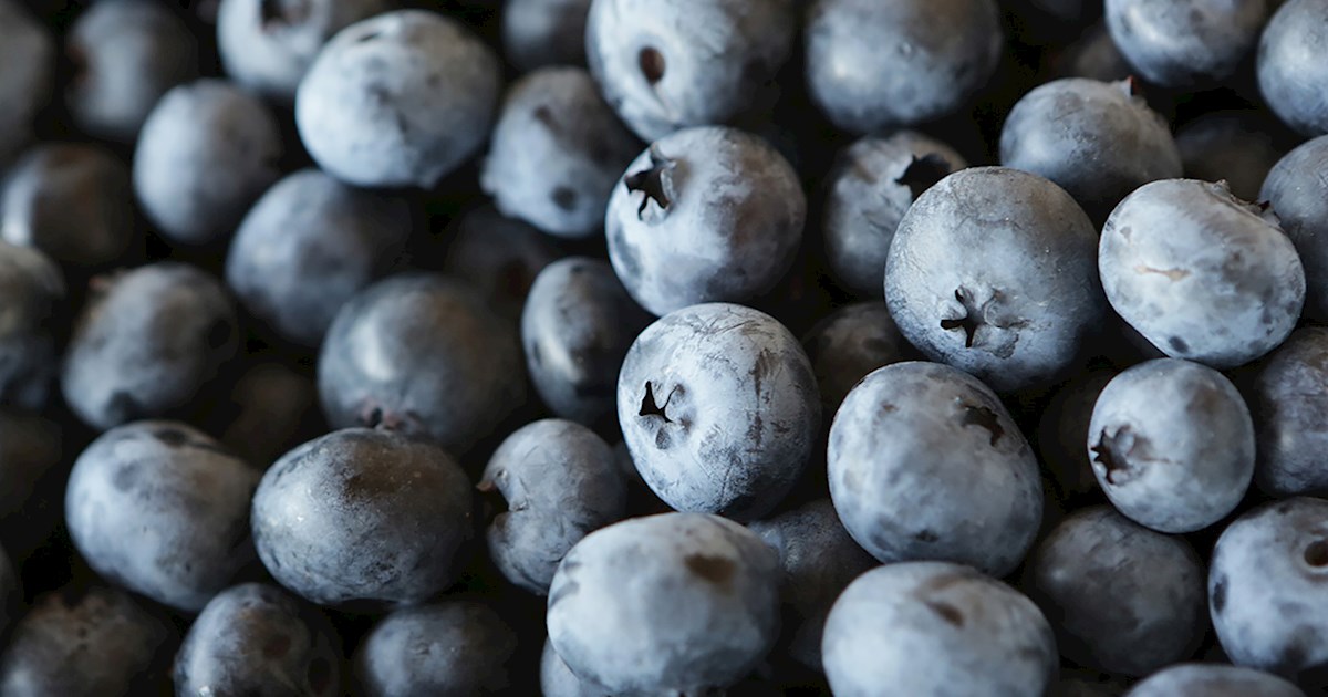 National Blueberry Festival Fruit festival in South Haven Where