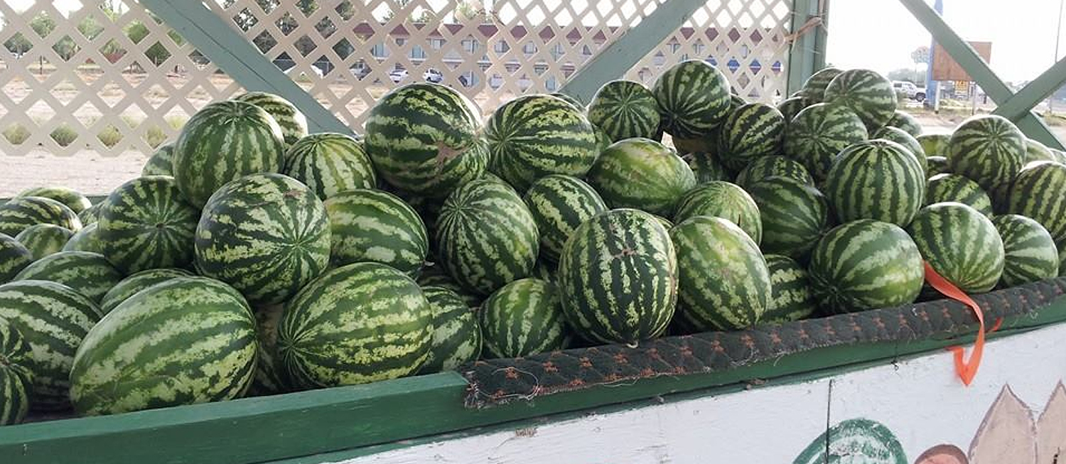 Green River Melon Days Fruit festival in Green River Where? What? When?