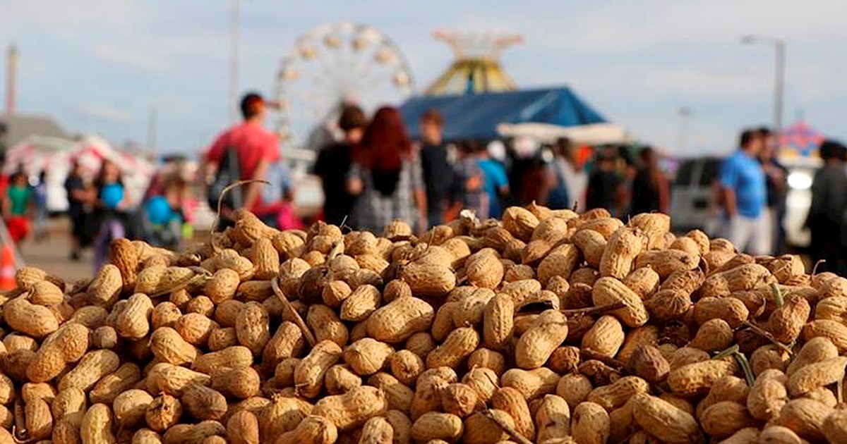National Peanut Festival Vegetable festival in Dothan Where? What
