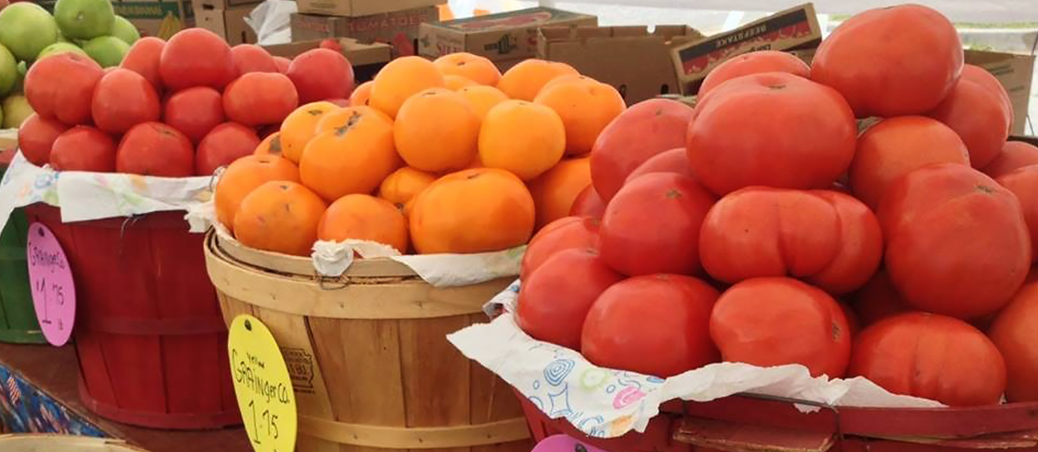 Grainger County Tomato Festival 2024 Torie Harmonia