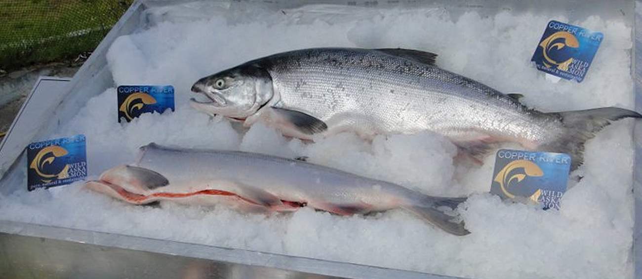 Copper River Salmon Jam Seafood festival in Cordova Where? What? When?