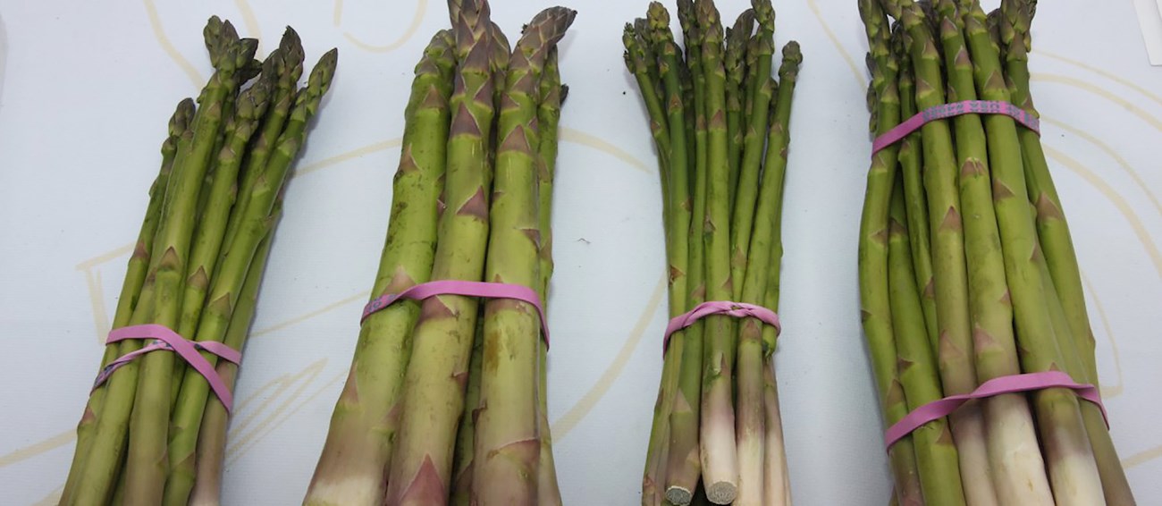 San Joaquin Asparagus Festival Vegetable festival in Stockton Where