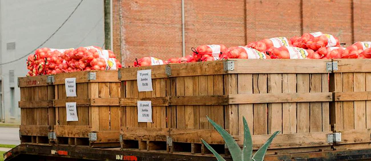 Vidalia Onion Festival Vegetable festival in Vidalia Where? What? When?