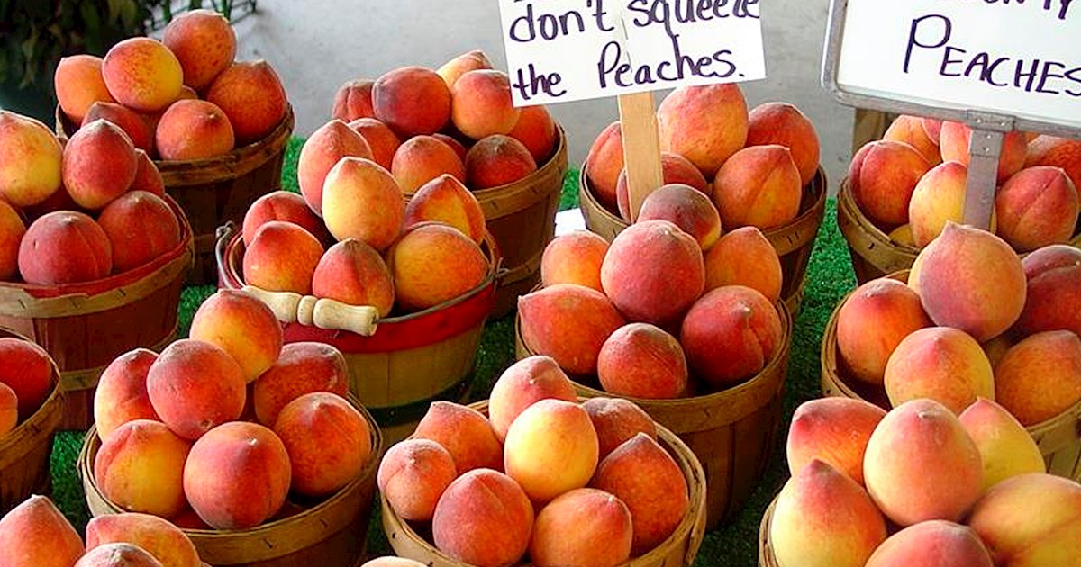 Parker County Peach Festival Fruit festival in Weatherford Where