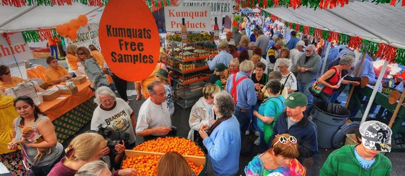 Kumquat Festival Fruit festival in Dade City Where? What? When?