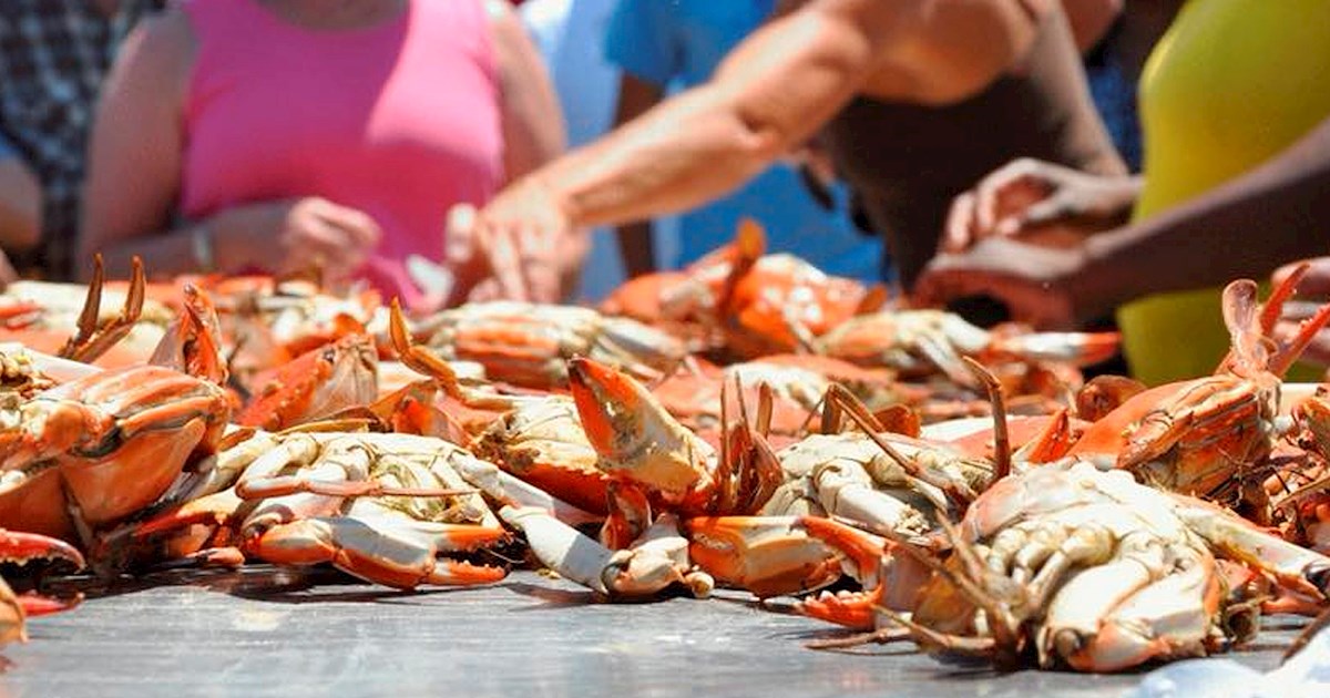 Panacea Blue Crab Festival Seafood festival in Panacea Where? What