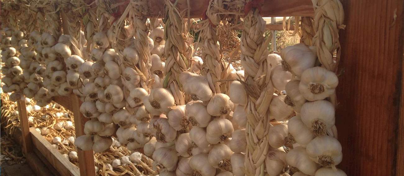 Chehalis Garlic Fest & Craft Show Vegetable festival in Chehalis