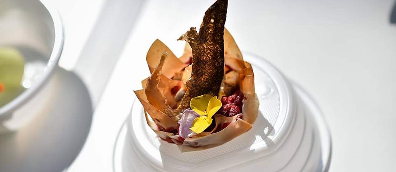 Tuna, Sushi & Wine Festival Seafood festival in Zadar Where? What