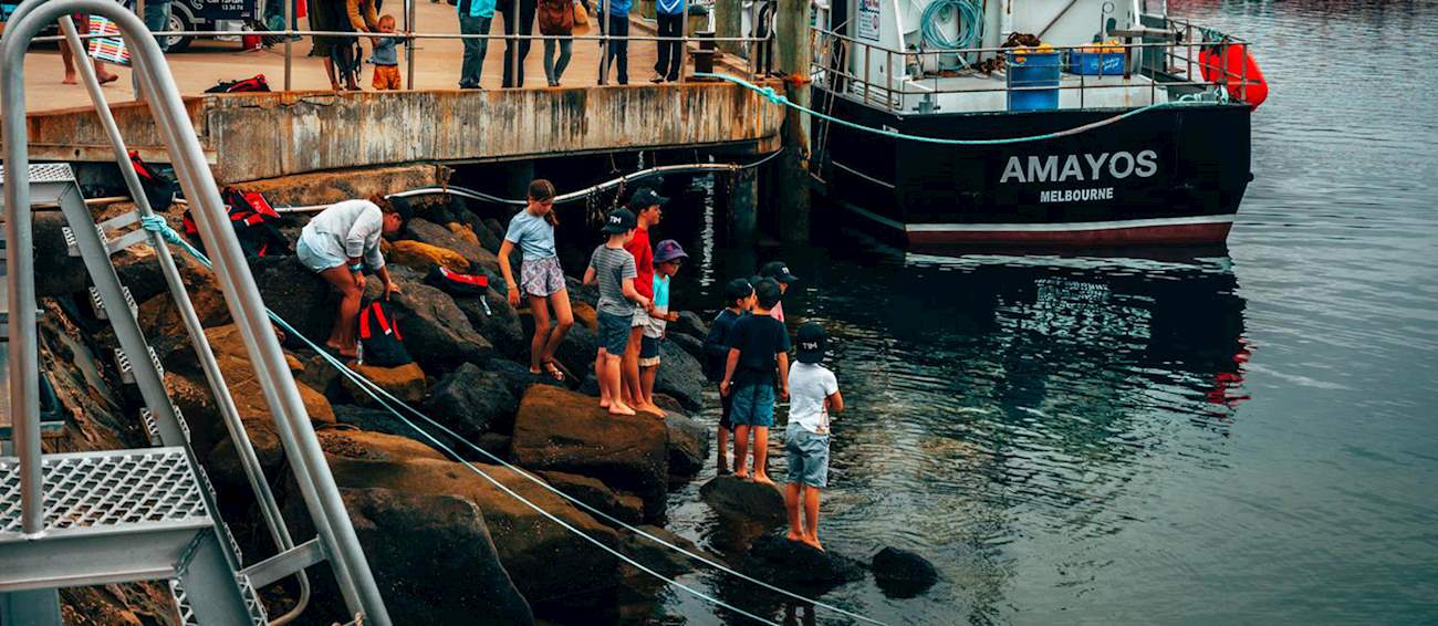 Apollo Bay Seafood Festival Food Festival In Melbourne Where What When 5203