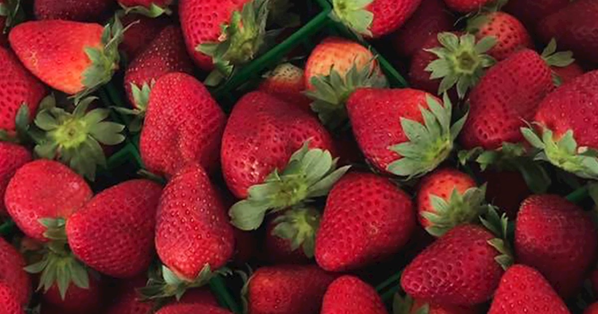 Baldwin County Strawberry Festival Fruit festival in Loxley Where
