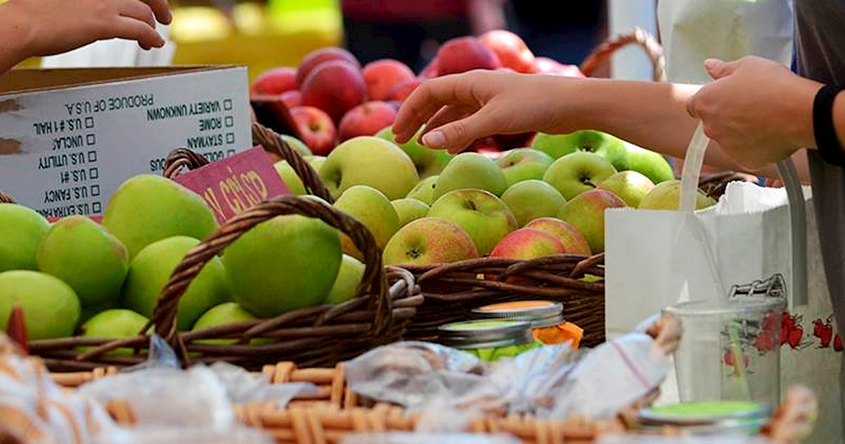 North Carolina Apple Festival Fruit festival in Hendersonville