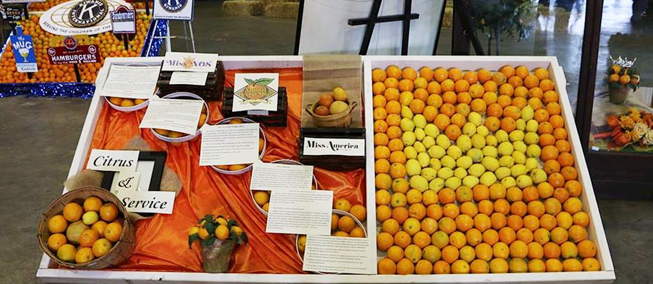 NOS Citrus Fair Fruit festival in San Bernardino Where? What? When?