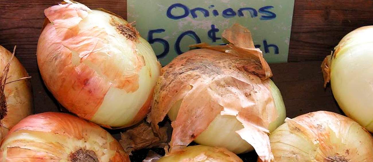 Vidalia Onion Festival Vegetable festival in Vidalia Where? What? When?