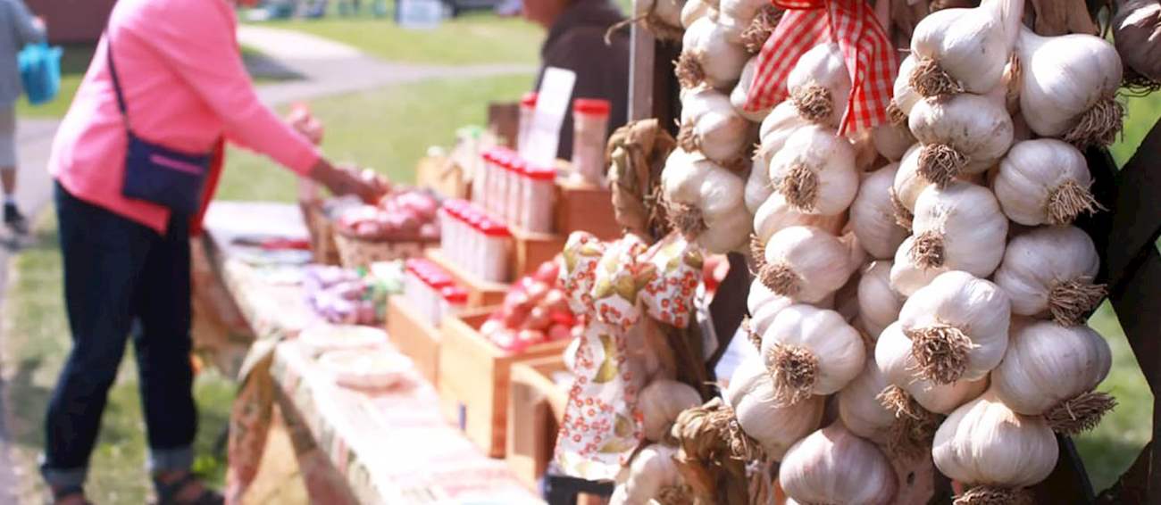 ster Garlic Festival Vegetable festival in ster Where? What