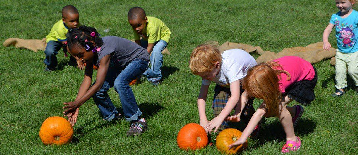 Romulus Pumpkin Festival Fruit festival in Romulus Where? What? When?