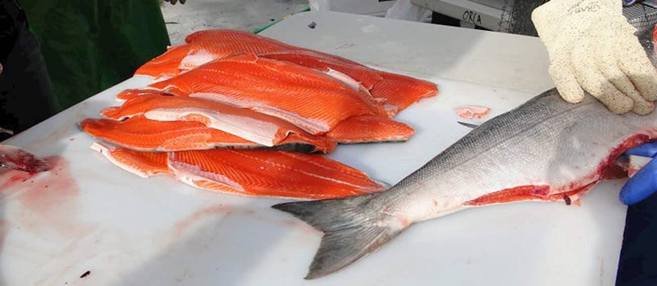 Copper River Salmon Jam Seafood festival in Cordova Where? What? When?