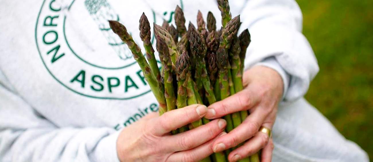 Empire Asparagus Festival Vegetable festival in Empire Where? What? When?