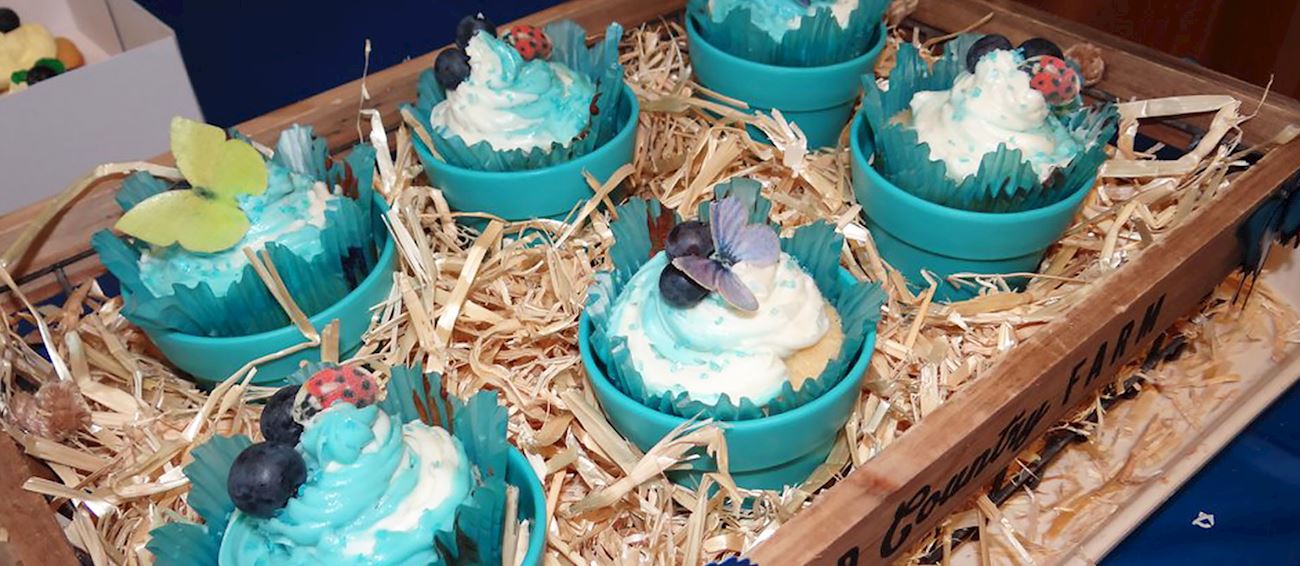 Texas Blueberry Festival Fruit festival in Nacogdoches Where? What