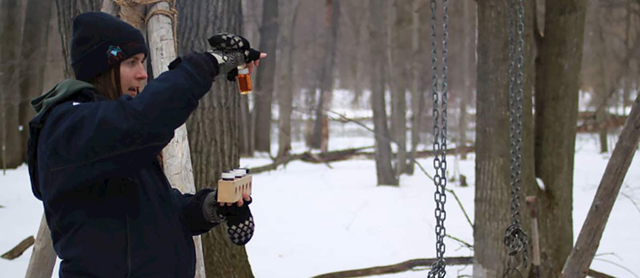 Sugarbush Maple Syrup Festival Terra Cotta Dessert festival in Halton Hills Where? What? When?