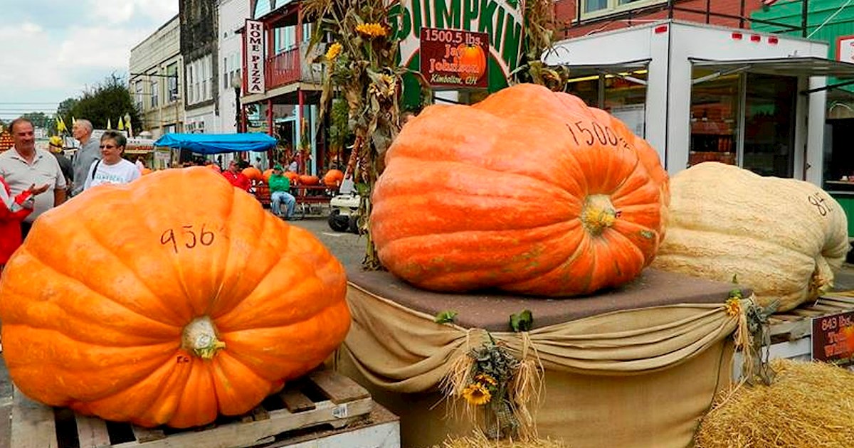 Barnesville Pumpkin Festival Vegetable festival in Barnesville Where? What? When?
