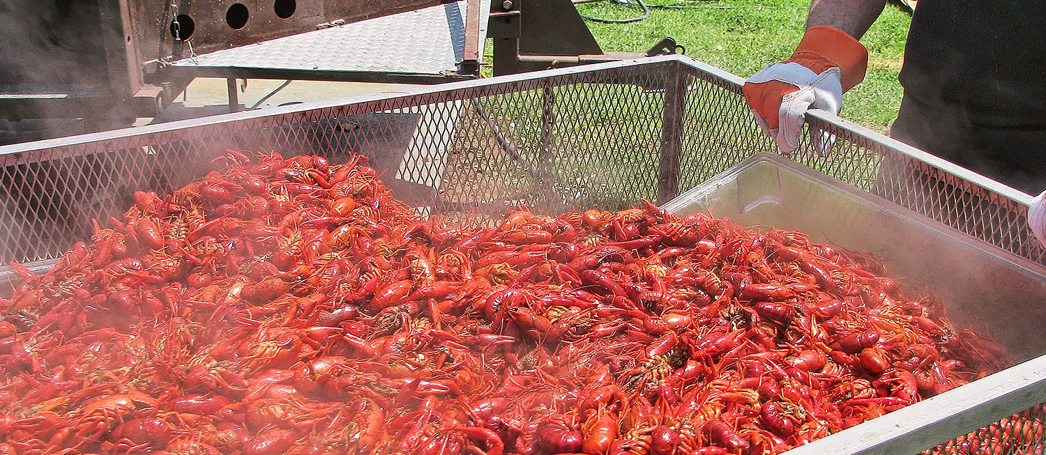 Crawdad Festival Long Beach: A Complete Guide to Fun, Food, and Festivities