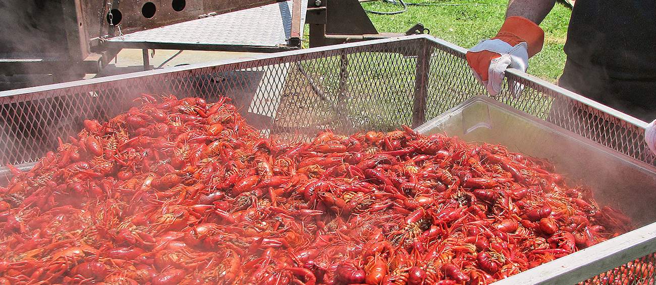 Long Beach Crawfish Festival Seafood festival in Long Beach Where? What? When?