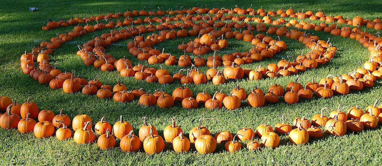 Punkin Chunkin Delaware Vegetable festival in Bridgeville Where