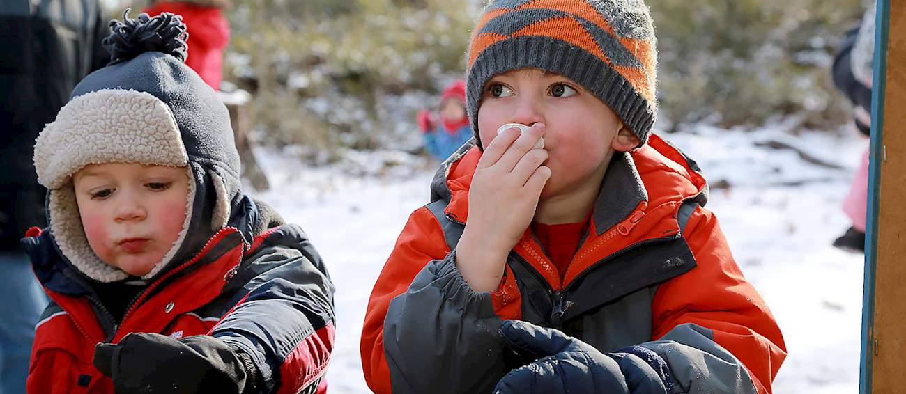 Sugarbush Maple Syrup Festival Bruce's Mill Dessert festival in