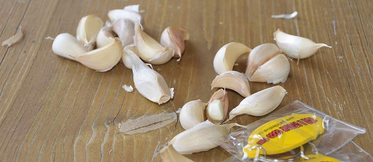 South Cariboo Garlic Festival Vegetable festival in Lac la Hache