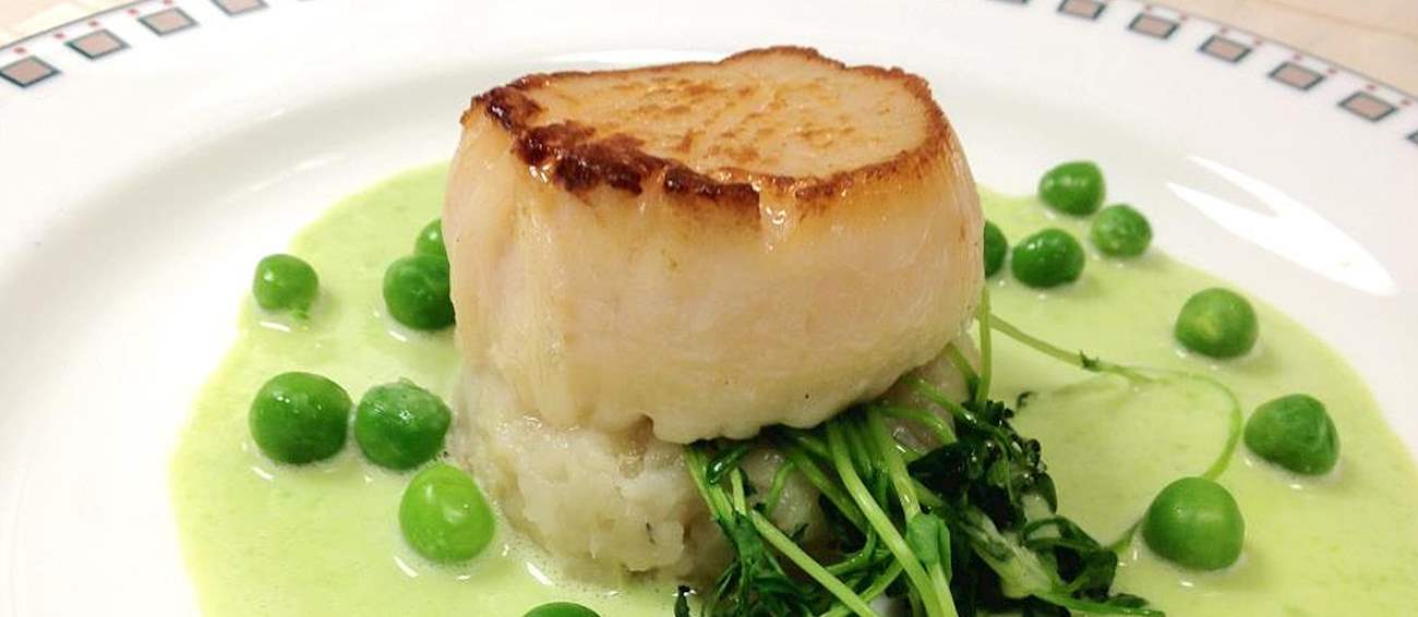 Boston Wine Festival Wine festival in Boston Where? What? When?