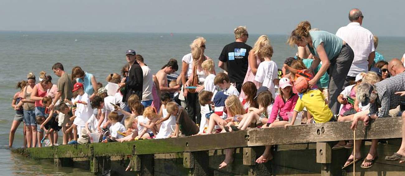 Whitstable Oyster Festival Seafood festival in Whitstable Where