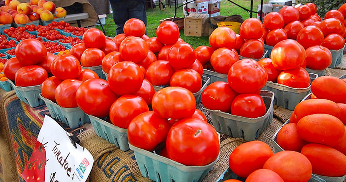 West Cape May Tomato Festival Fruit festival in West Cape May Where