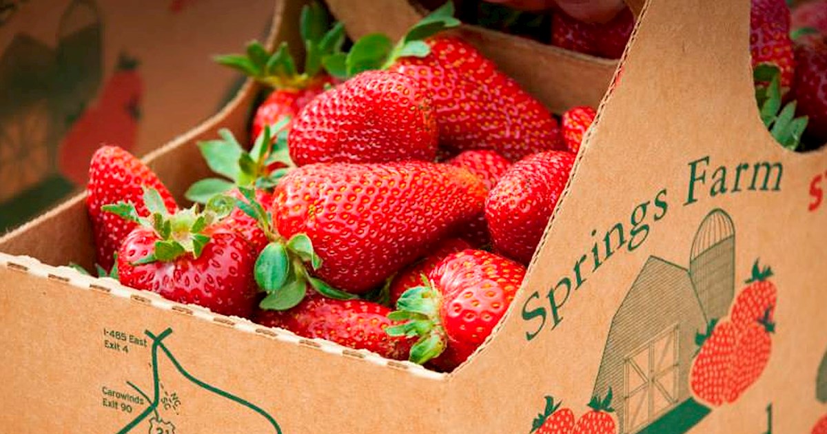 South Carolina Strawberry Festival Fruit festival in Fort Mill